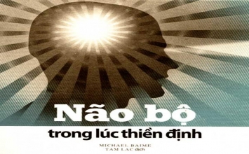 Não, tim và thiền